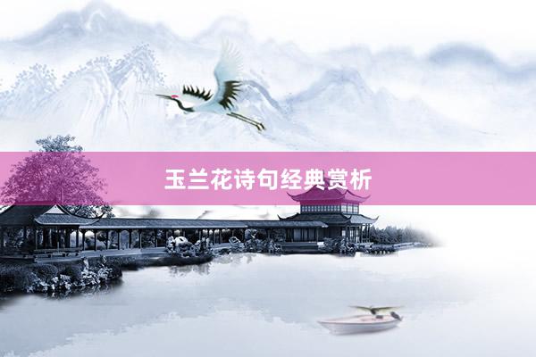 玉兰花诗句经典赏析